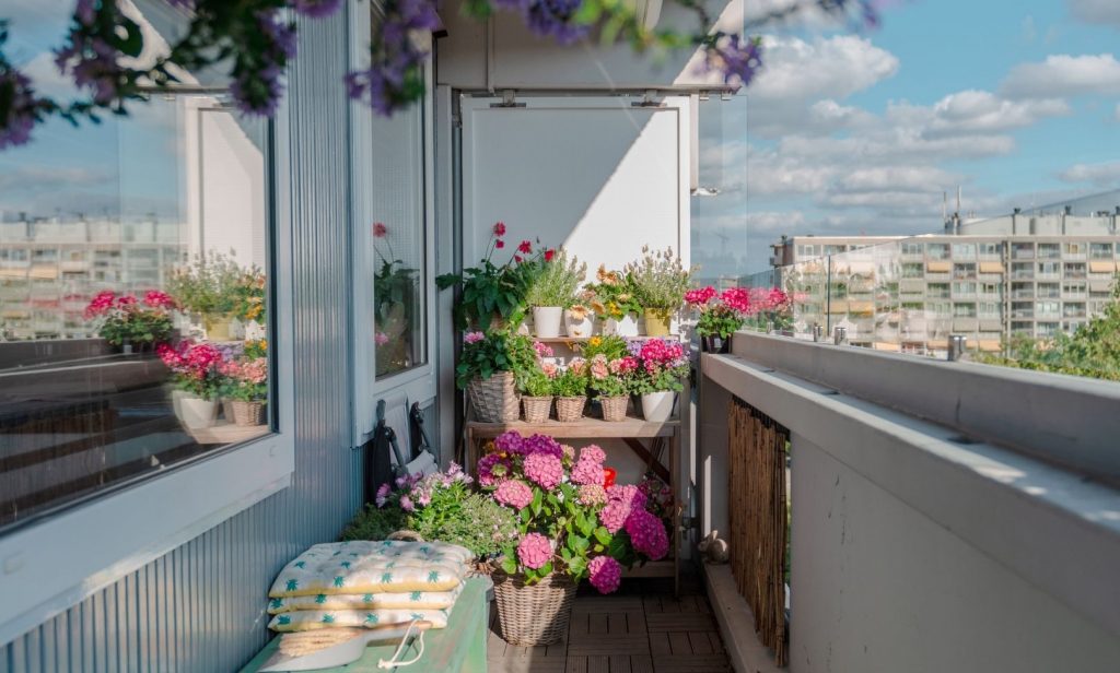 จัดวางต้นไม้ในบ้าน