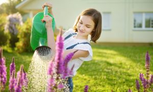 รดน้ำต้นไม้ในบ้าน