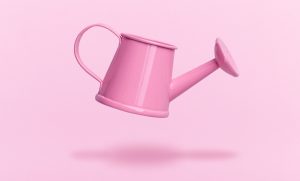 ของขวัญสำหรับคนรักต้นไม้