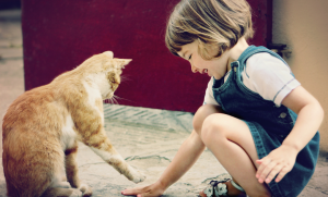 สัตว์เลี้ยงสำหรับเด็ก