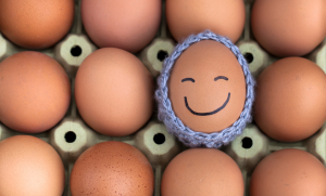 กินไข่ ลดน้ำหนัก